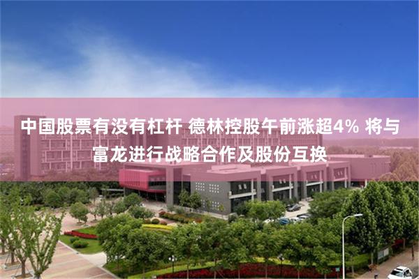 中国股票有没有杠杆 德林控股午前涨超4% 将与富龙进行战略合作及股份互换