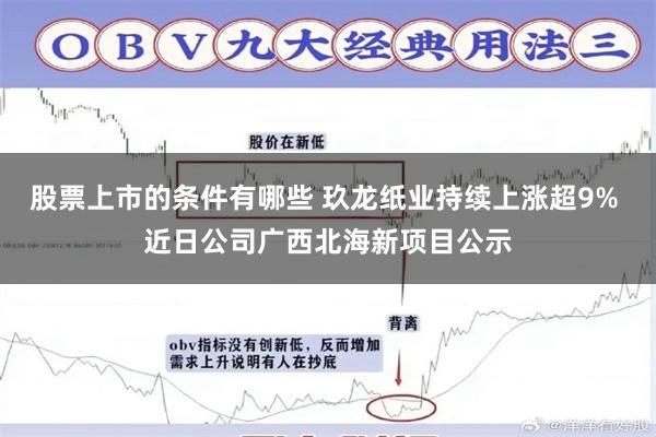 股票上市的条件有哪些 玖龙纸业持续上涨超9% 近日公司广西北海新项目公示