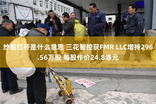 炒股杠杆是什么意思 三花智控获FMR LLC增持296.56万股 每股作价24.8港元