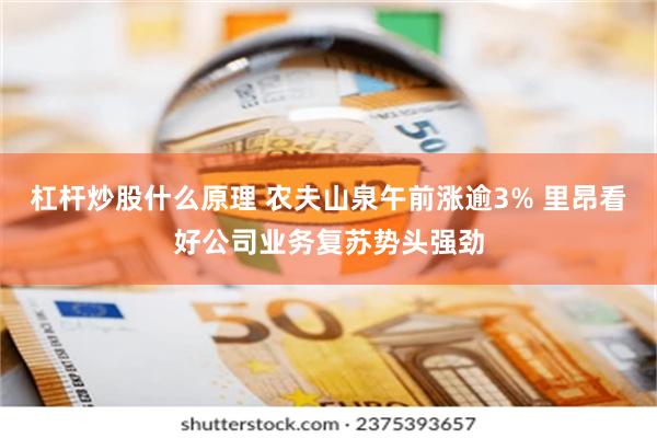 杠杆炒股什么原理 农夫山泉午前涨逾3% 里昂看好公司业务复苏势头强劲
