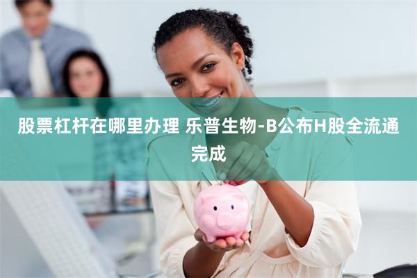 股票杠杆在哪里办理 乐普生物-B公布H股全流通完成