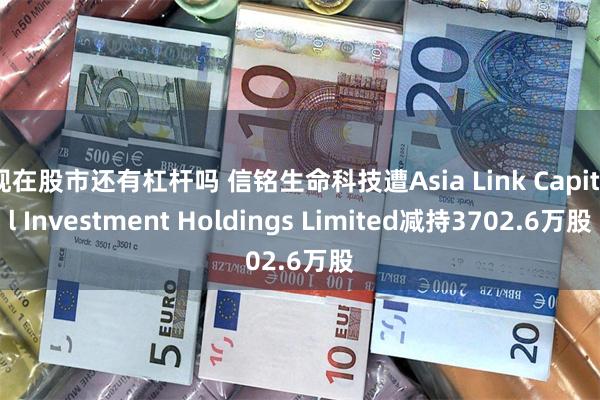 现在股市还有杠杆吗 信铭生命科技遭Asia Link Capital Investment Holdings Limited减持3702.6万股