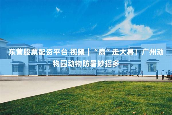 东营股票配资平台 视频｜“扇”走大暑！广州动物园动物防暑妙招多