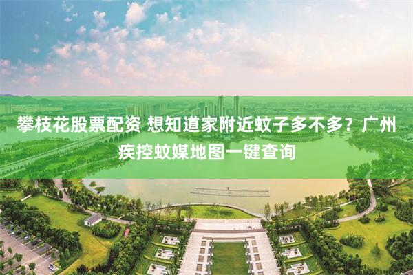 攀枝花股票配资 想知道家附近蚊子多不多？广州疾控蚊媒地图一键查询
