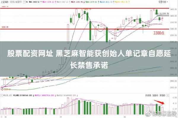 股票配资网址 黑芝麻智能获创始人单记章自愿延长禁售承诺