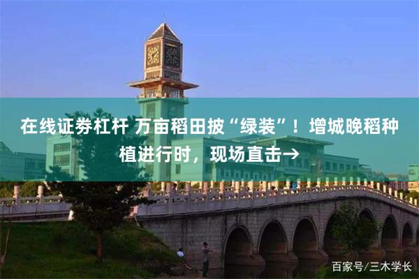 在线证劵杠杆 万亩稻田披“绿装”！增城晚稻种植进行时，现场直击→