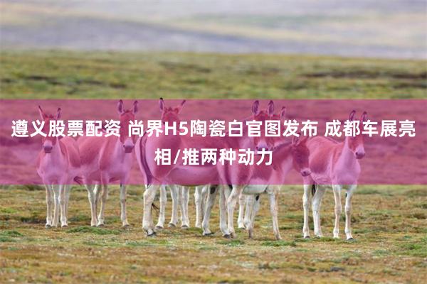 遵义股票配资 尚界H5陶瓷白官图发布 成都车展亮相/推两种动力