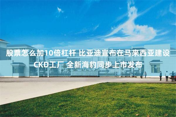 股票怎么加10倍杠杆 比亚迪宣布在马来西亚建设CKD工厂 全新海豹同步上市发布