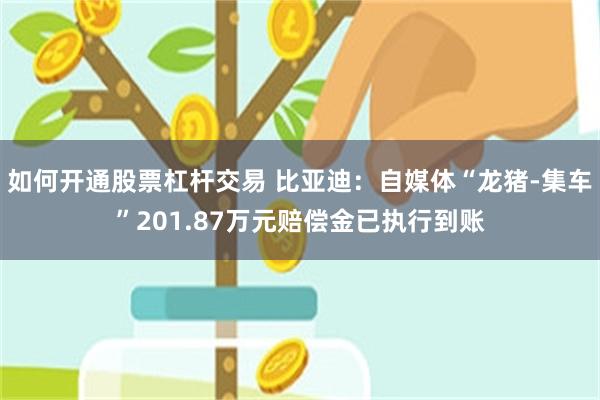 如何开通股票杠杆交易 比亚迪：自媒体“龙猪-集车”201.87万元赔偿金已执行到账