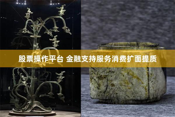 股票操作平台 金融支持服务消费扩面提质