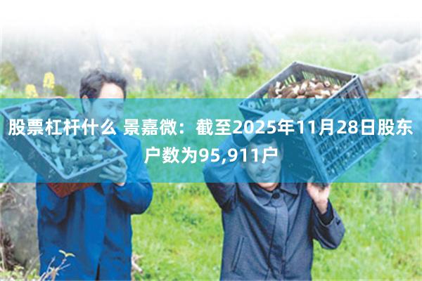 股票杠杆什么 景嘉微：截至2025年11月28日股东户数为95,911户
