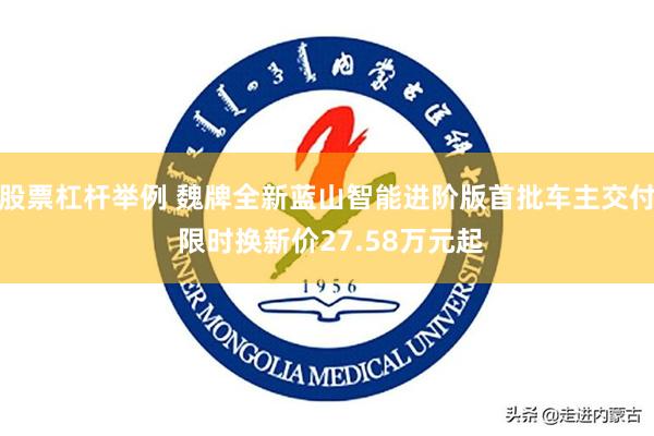 股票杠杆举例 魏牌全新蓝山智能进阶版首批车主交付 限时换新价27.58万元起