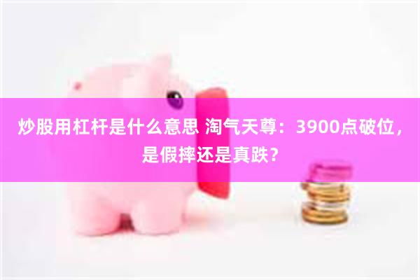 炒股用杠杆是什么意思 淘气天尊:3900点破位,是假摔还是真跌?