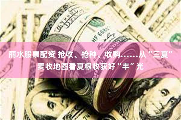 丽水股票配资 抢收、抢种、收购……从“三夏”麦收地图看夏粮收获好“丰”光
