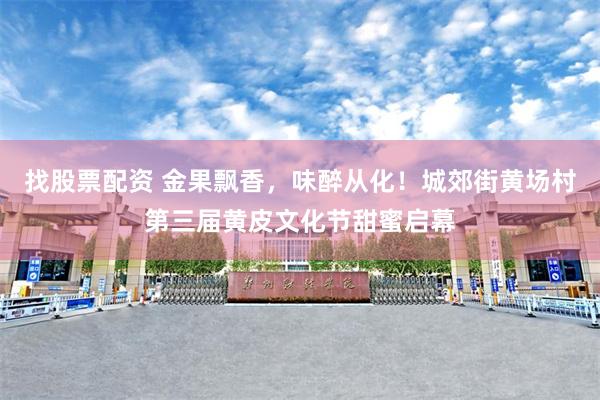 找股票配资 金果飘香，味醉从化！城郊街黄场村第三届黄皮文化节甜蜜启幕
