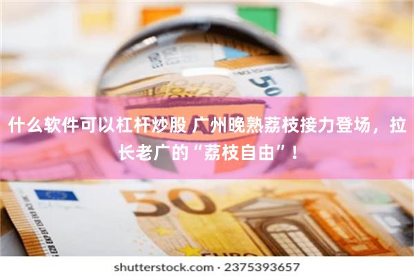 什么软件可以杠杆炒股 广州晚熟荔枝接力登场，拉长老广的“荔枝自由”！