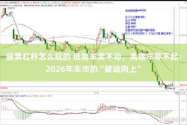 股票杠杆怎么玩的 低端车卖不动，高端车等不起：2026年车市的“被动向上”