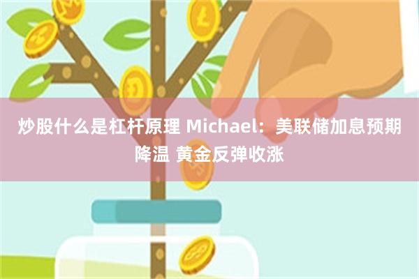 炒股什么是杠杆原理 Michael：美联储加息预期降温 黄金反弹收涨