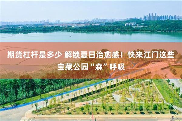 期货杠杆是多少 解锁夏日治愈感！快来江门这些宝藏公园“森”呼吸
