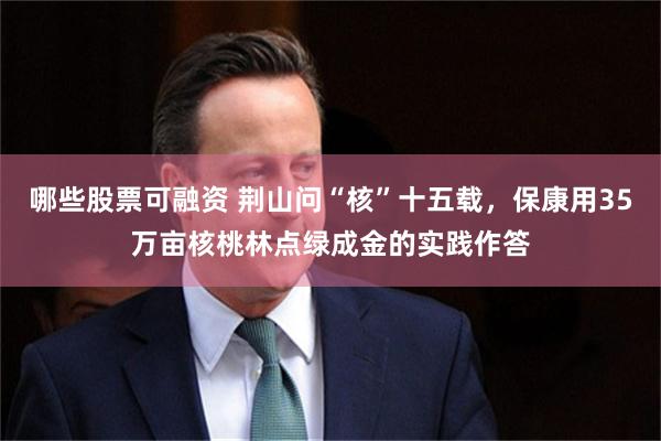 哪些股票可融资 荆山问“核”十五载，保康用35万亩核桃林点绿成金的实践作答