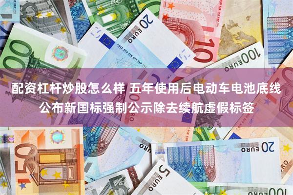 配资杠杆炒股怎么样 五年使用后电动车电池底线公布新国标强制公示除去续航虚假标签