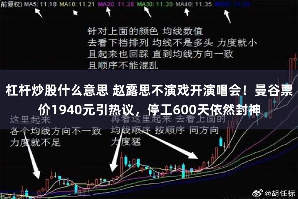 杠杆炒股什么意思 赵露思不演戏开演唱会！曼谷票价1940元引热议，停工600天依然封神