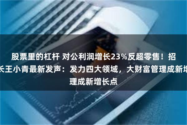 股票里的杠杆 对公利润增长23%反超零售！招行行长王小青最新发声：发力四大领域，大财富管理成新增长点