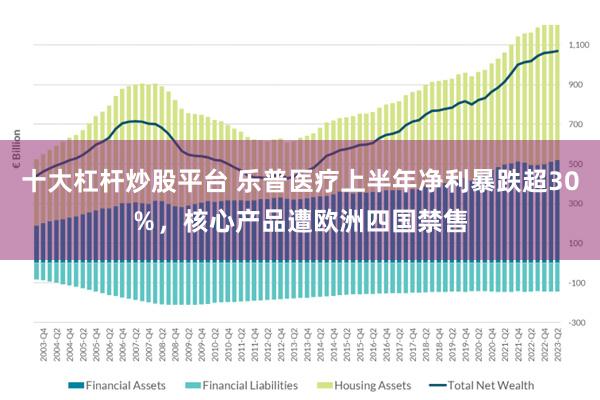 十大杠杆炒股平台 乐普医疗上半年净利暴跌超30％，核心产品遭欧洲四国禁售
