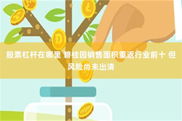 股票杠杆在哪里 碧桂园销售面积重返行业前十 但风险尚未出清