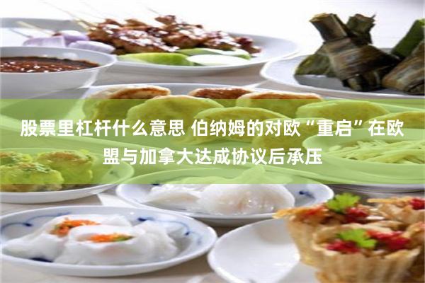 股票里杠杆什么意思 伯纳姆的对欧“重启”在欧盟与加拿大达成协议后承压