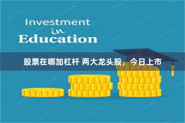 股票在哪加杠杆 两大龙头股，今日上市