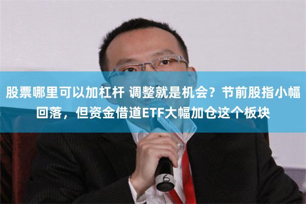 股票哪里可以加杠杆 调整就是机会？节前股指小幅回落，但资金借道ETF大幅加仓这个板块